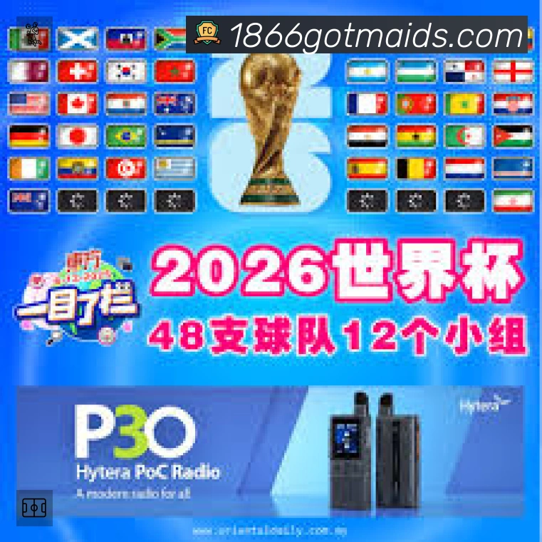 星空体育·(中国)官方网站准确价值
